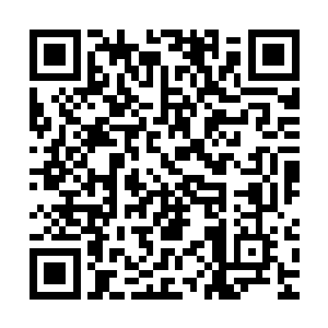 楚旬和愤怒也几乎是同一时间被赫拉克勒斯的左拳和血箭所击飞二维码生成