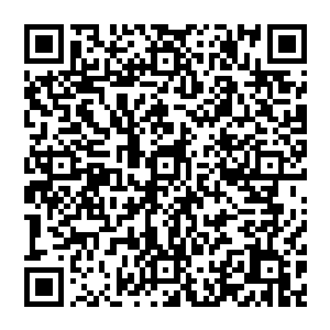 楚旬手中那闪耀璀璨金光的虎魄刀也跟黄眉僧人手中那闪耀着璀璨金光的狼牙棒狠狠撞击在了一起二维码生成