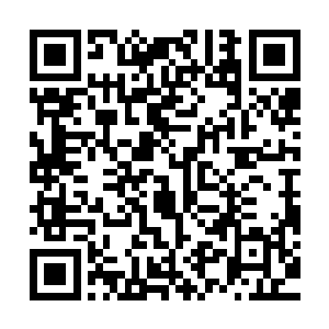楚旬才将目光凝视在了那头雄伟庞大到无法用语言和文字来形容二维码生成