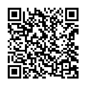 楚旬的虎魄刀也与穆卡迪奥手中的投影之枪狠狠撞击在了一起二维码生成