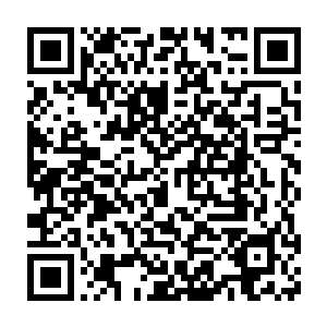 楚旬的虎魄刀和野蛮牛王手中的巨斧也齐齐劈砍在了那两根巨木之上二维码生成