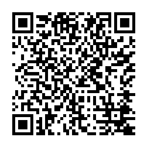 楚旬等人所代表的人域势力以及七宗罪等人所代表的尸域势力作战的话二维码生成