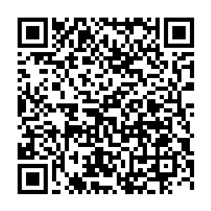 楚暮取出了一颗黄褐色的布满了龟裂痕迹拳头大小的果实――天荒果二维码生成