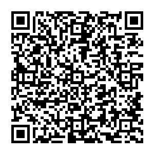 楚暮觉得天荒剑令上不认得的那两个古老的文字和暗红色小剑上那两个同样不认得的文字似乎有着相似之处二维码生成