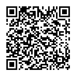 楚暮还得到了一些治疗内伤和外伤的丹药以及加速体力恢复的丹药二维码生成