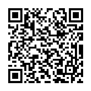 楚枫也不愿意继续跟如木头一样的枯叶继续说话了二维码生成