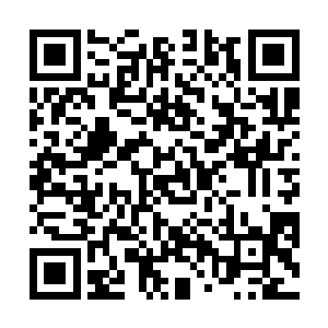 楚枫俨然已经成为了站在修真界金字塔最顶端的存在了二维码生成