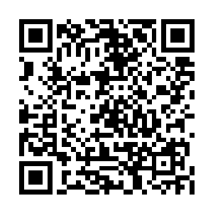 楚渝瞧一眼两人手上样式一模一样的红宝石戒子二维码生成
