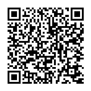 楚门的父亲在小时候出海航行时遇难了――这使得他对大海产生了恐惧二维码生成
