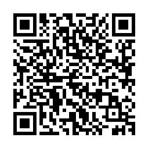 楼下派出去的几百号人始终没有找到任何关于凌冽跟乔欧的踪迹二维码生成