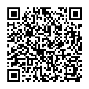 樊青雨在家看到了网上边学道和三兴长公主李富榛在酒店门谈的照片二维码生成
