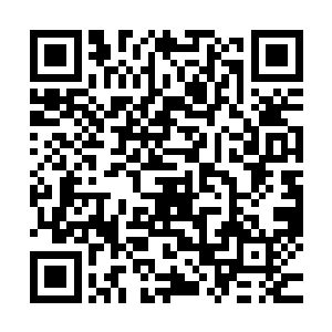 模样狼狈的简直让人认不出他就是原先那个颐气指使的洪副将二维码生成
