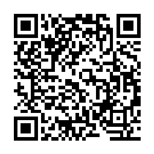 欢呼不断的诸多南海强者们也如同是被卡住了脖子的鸡一样二维码生成