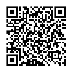 欢迎参加此次由淘宝斋举办的淘宝拍卖大会……呵呵二维码生成