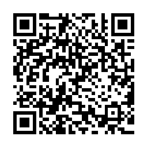 欧阳……主任……对不起……是我的失职……我对不起您……二维码生成