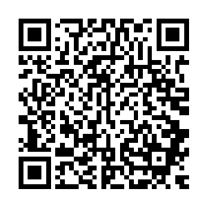 正因为许家从来没有在星海之中和魔族经历过大规模舰队大战二维码生成