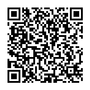 正在冲浪的澹台璃和谢一鸣以及王浩文朝着我们笑容璀璨扬声招呼二维码生成