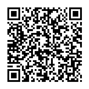 正在厨房之中忙碌切菜的花大娘听了声音便抬头看了站在门口的苏嫣一眼二维码生成