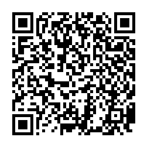 正在叶秋和大家在享用着白面和楚阳为他们准备的精致的小点心的时候二维码生成