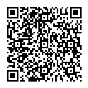 正在向围拢在主席台前的众科学家们讲解从目前资料上总结出的华夏星人的一些基本特征二维码生成