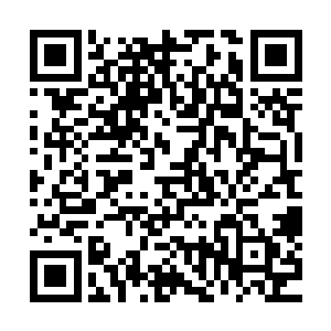 正在和人聊什么美容护理的张仪伊看到秦洛和王九九一起出来二维码生成