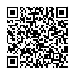 正在激动人心的计划着一个自认为惊天动地的大计划二维码生成