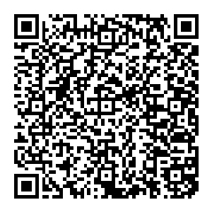 正在火拼中的几百人注意到了这黑压压的三千大军都瞬间呆滞了高举着的家伙也忘了放下去你看看我我看看你都搞不明白是什么情况二维码生成
