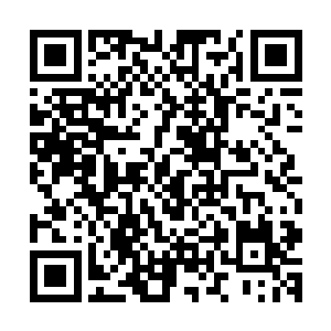 正在给学员们讲解枪械使用的教官顿时被这一身响动给惊住了二维码生成