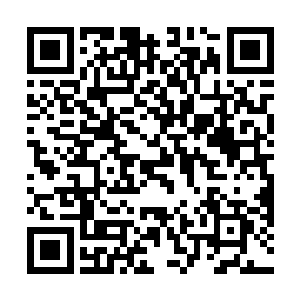 正在给窗台上林小乖带来的花浇水的杨小丽忍不住问道二维码生成