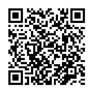 正在聚精会神地研究着一枚血红色的小珠子――就是在不久之前二维码生成