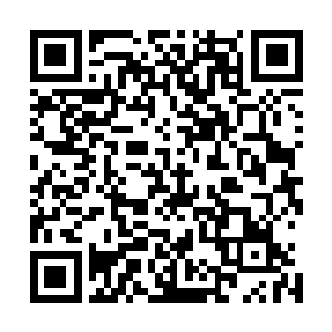 正在那女修觉得木萦的攻击不痛不痒的时候便突然觉得不妙二维码生成