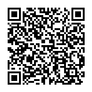 正在高扬觉得西蒙他们用谷歌街景为进攻做准备而感到有趣的时候二维码生成