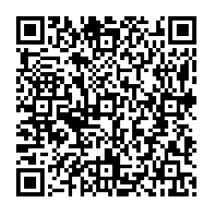 正好亚尔莫连科也可以过把瘾的去替换北欧飞行员飞飞这种高度自动集成化的喷气式商务机二维码生成