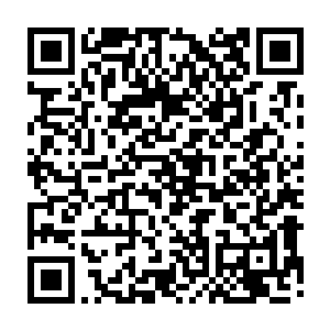 正好和普特兄弟使出来的声波在傀儡人偶的身体当中狠狠的撞击在了一起二维码生成