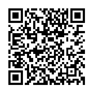 正好看到陆非凡面无表情的垂下眼眸注视着她此刻滑稽的样子二维码生成