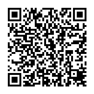 正好那里有瀚海神宫符神主虚无极的管家虚茄带着百余人在山中挖掘二维码生成