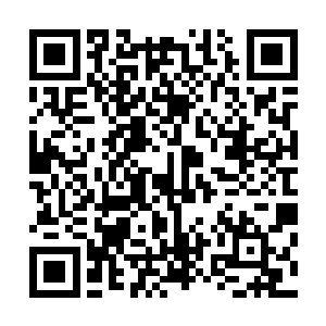 正带着保安在村子里巡视的林杨一下就看到了我们的欢喜哥二维码生成
