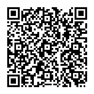 正常一本小说演化也确实很难说明一个世界竟能将它的每一部典籍文章法统都具现二维码生成