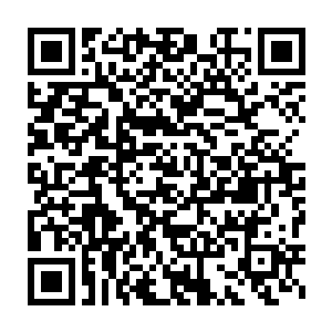 正常情况下你们表现出没有发现他们的样子他们是一定不会主动出击的二维码生成