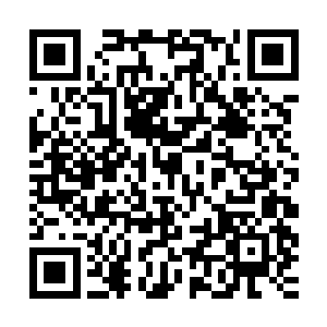 正式确立了法国在中南半岛除越南中北部和暹罗之外的殖民地位二维码生成