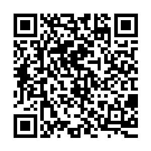 正当他们咬牙切齿的讨论雷天为什么会出现在这个地方的时候二维码生成