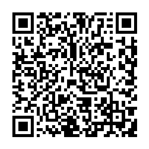 正当洪涛从窗户缝里瞄着那三只正在传宗接代的绿豆大苍蝇准备除四害时二维码生成