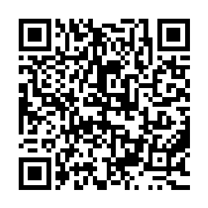 正当苏凡的拳头要跟面前死士的拳头狠狠的撞击在一起的时候二维码生成