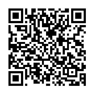 正懒洋洋的躺在床上仰着头任由叶璃喂水果的墨修尧皱了皱眉二维码生成