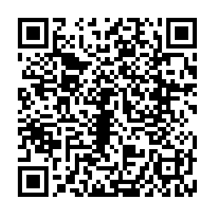 正是他以当初在灵墟药谷禁地第二层石室中得到的大量仙灵乌骨炼制而成的二维码生成