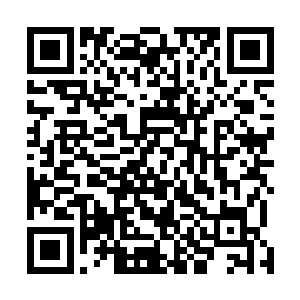 正是他当初在荒古魔冢的光明神树果实中得到的业火红莲二维码生成