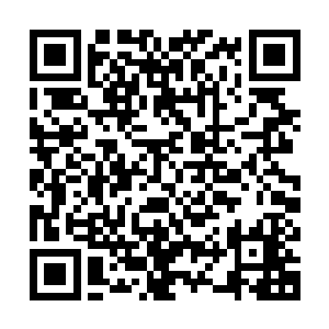 正是因为世家联盟和散仙盟没有参与到抢夺太玄宗宗门外的产业二维码生成