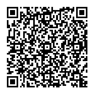 正是因为他 才能在瞬间将风清扬镇压住 可现在他镇压松开 难道是那位大能遭到了什么不测 下一章节已更新二维码生成