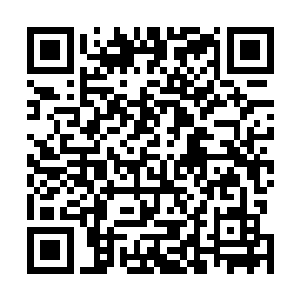 正是当初慕容仙儿曾经在黄泉山脉森林救过一次的陆景森二维码生成