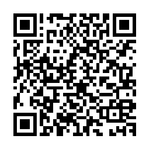 正是当时在修真界紫天派的时候制造神器出土事件的那柄神器二维码生成